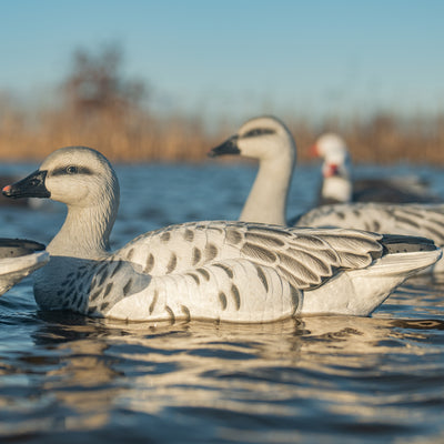 F1 Juvie Goose Floaters