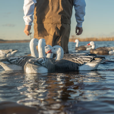 F1 Blue Goose Floaters