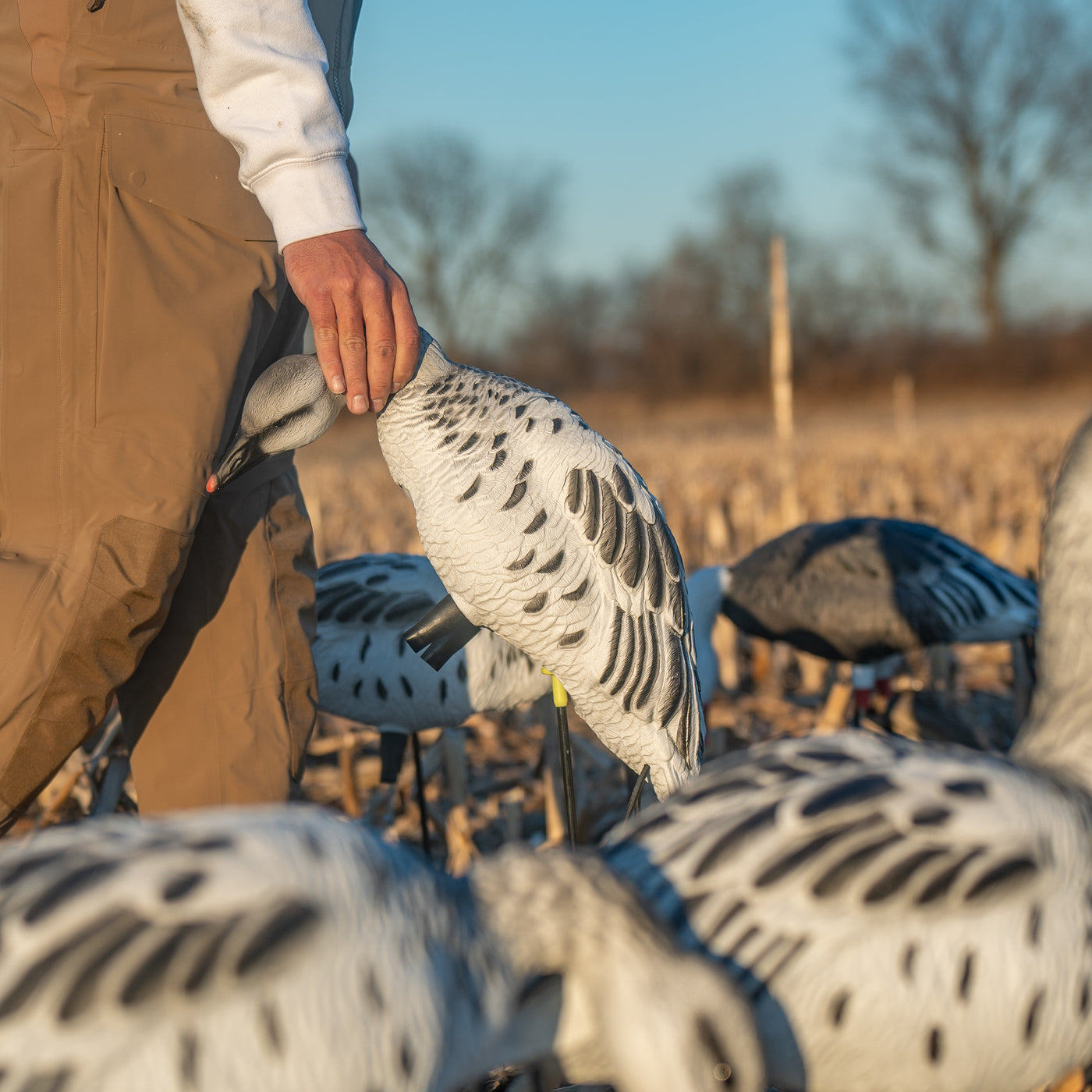 FB Juvie Goose Full Bodies