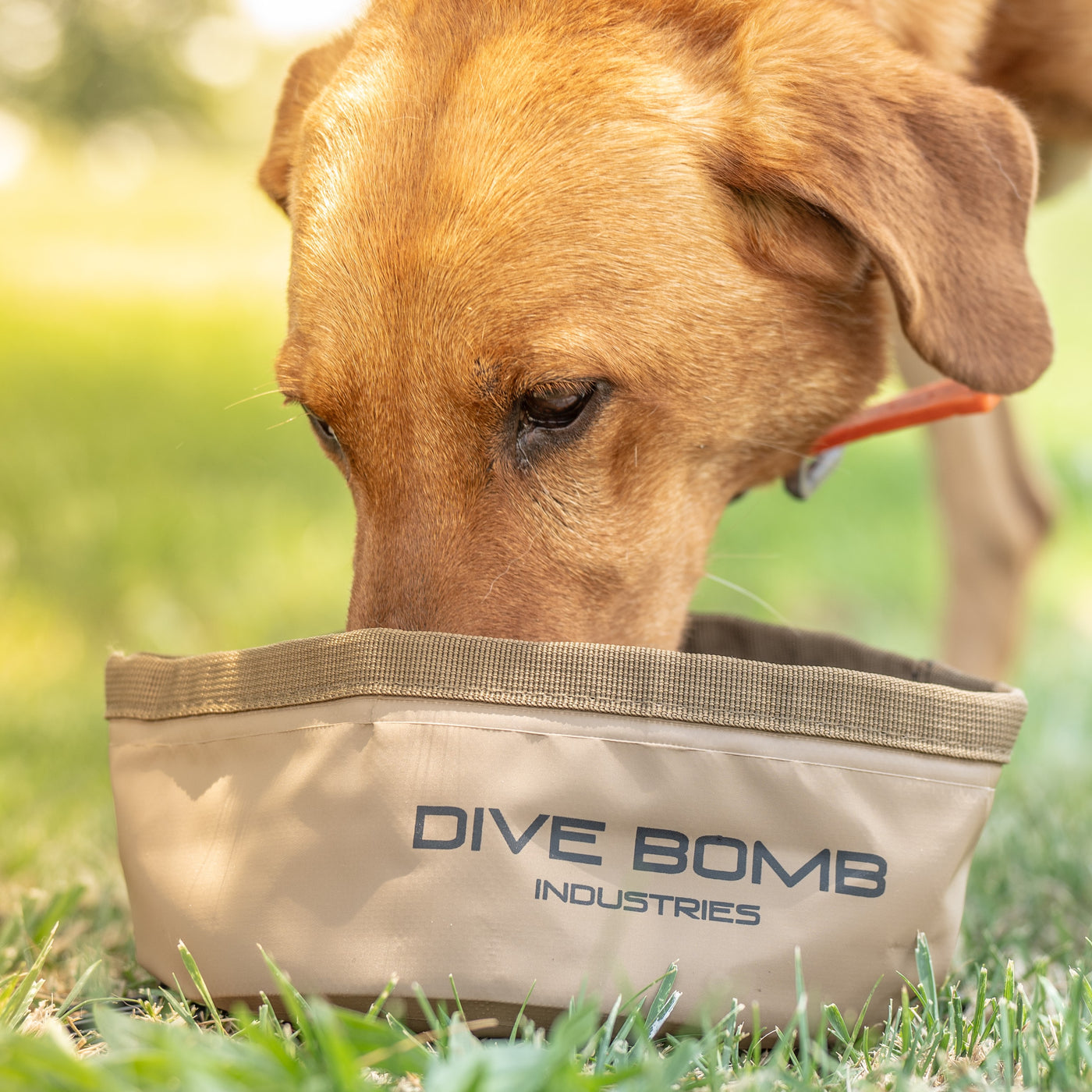 Dry Packable Dog Bowl