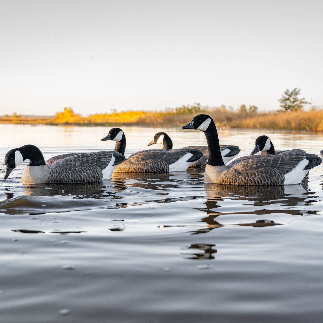 F1 Flocked Canada Floaters