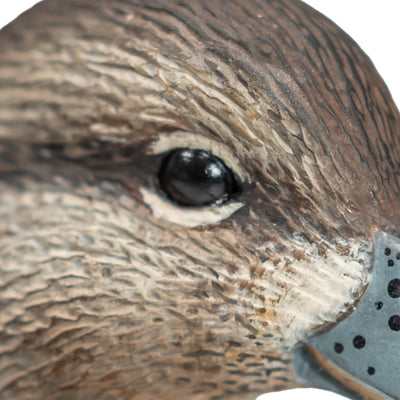 F1 Green-winged Teal Floaters