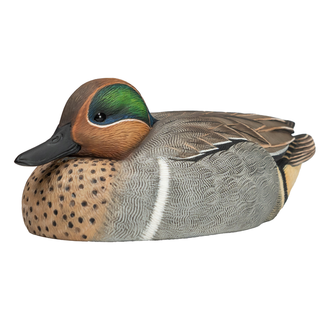 F1 Green-winged Teal Floaters