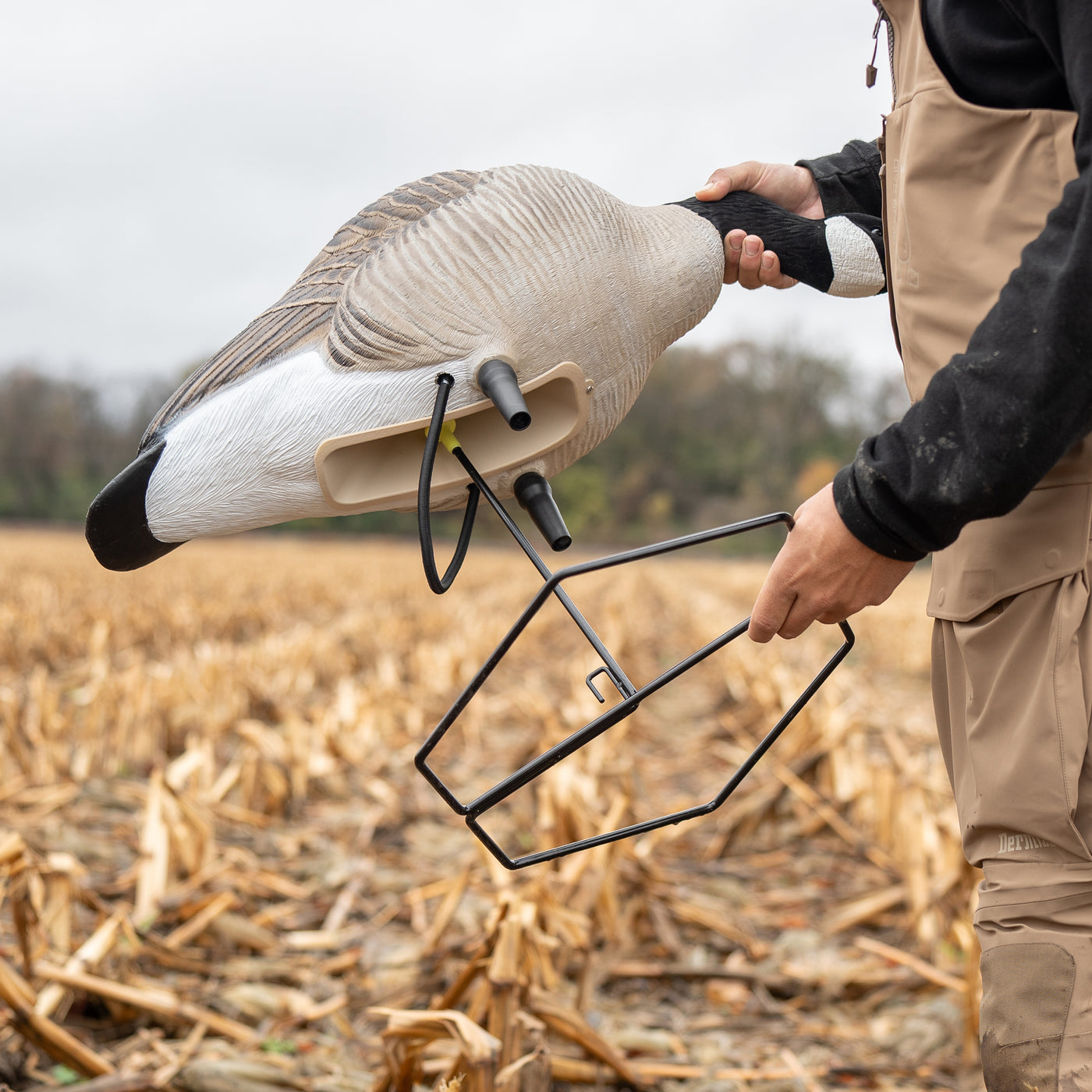 FB Flocked Canada Goose Full Bodies