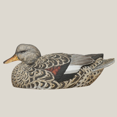 F1 Gadwall Floaters