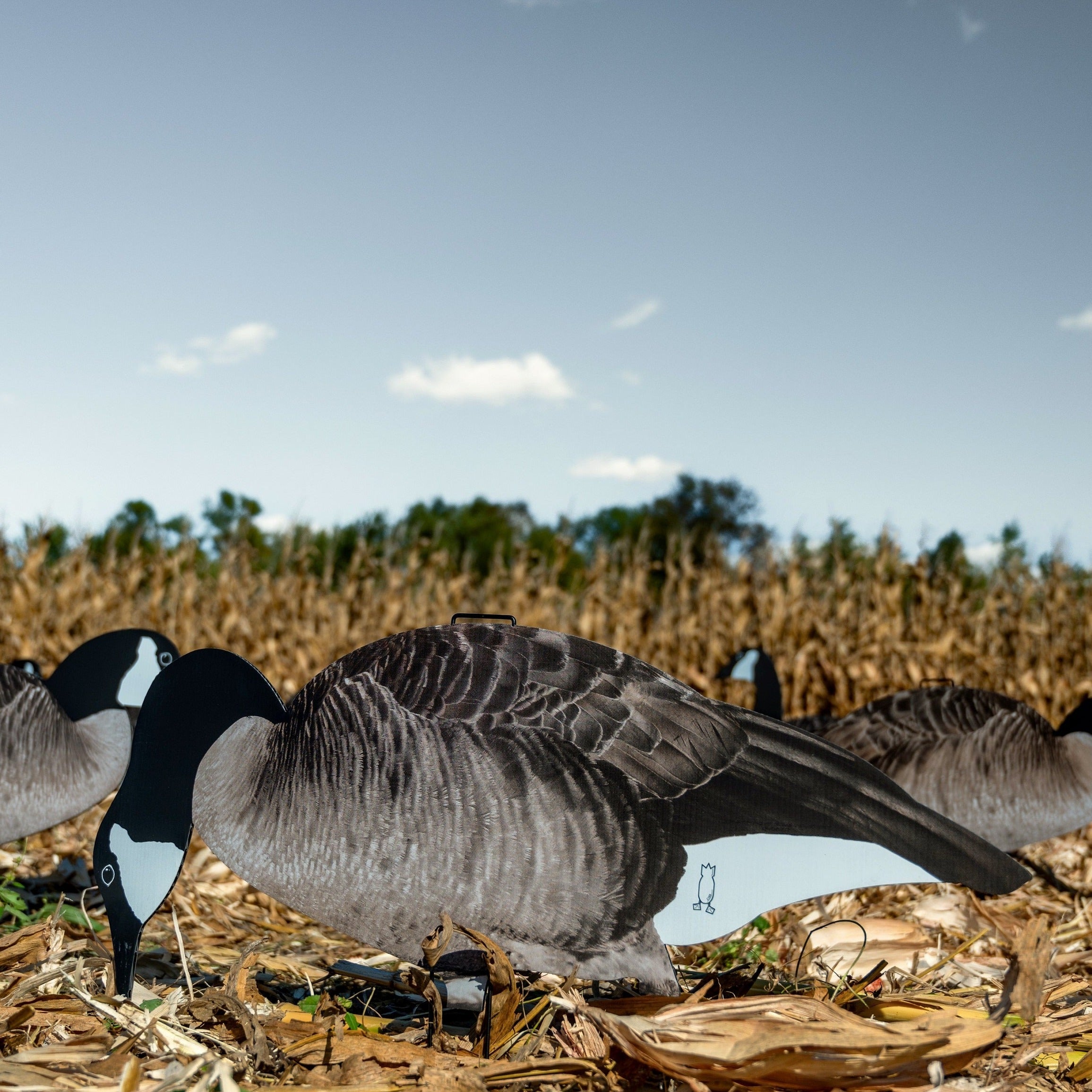 Hunting orders Decoy goose Silhouettes 24 Total