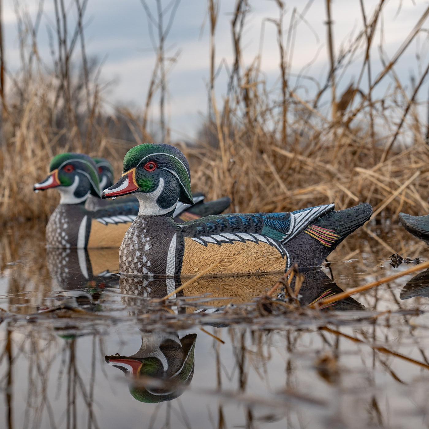 F1 Wood Duck Floaters