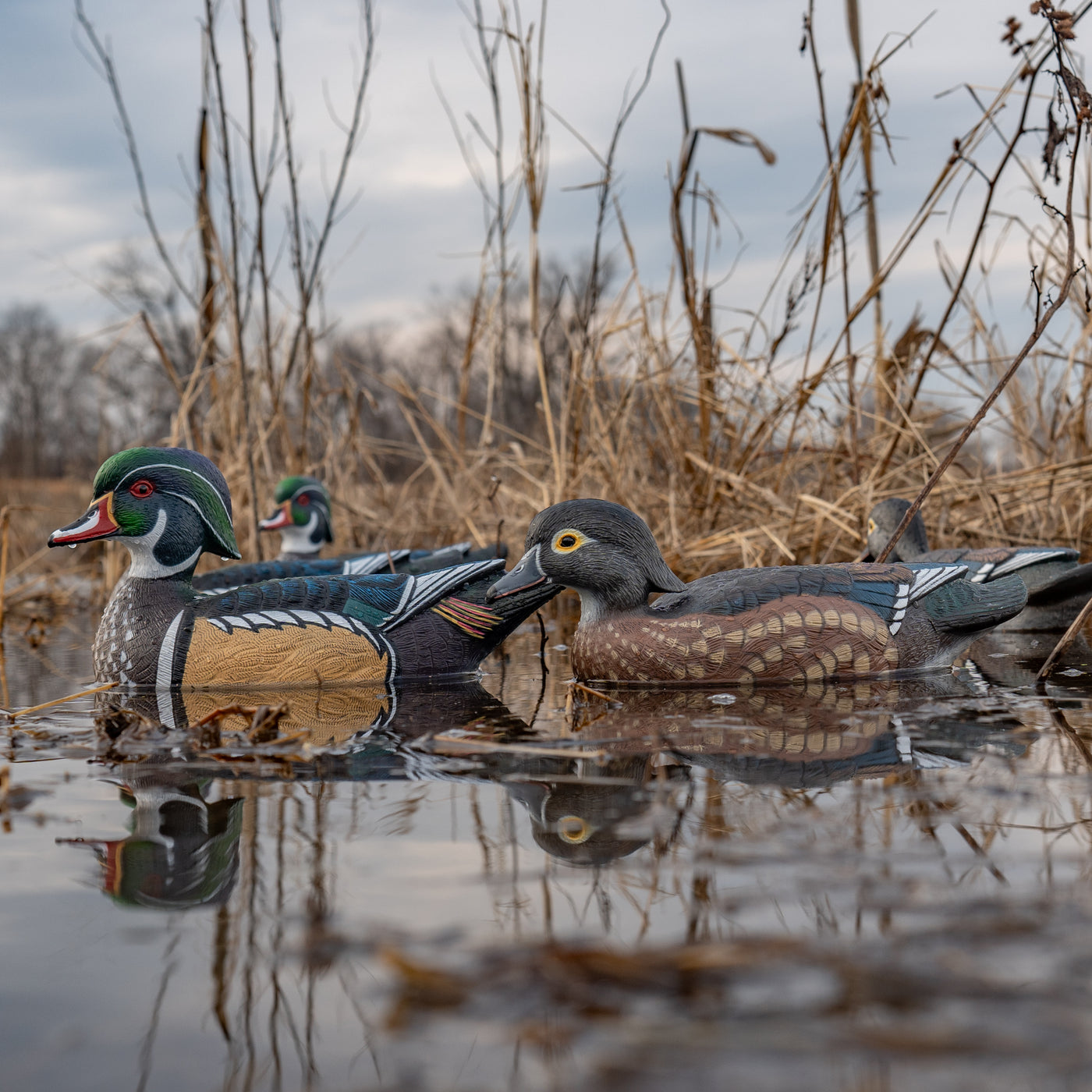 F1 Wood Duck Floaters