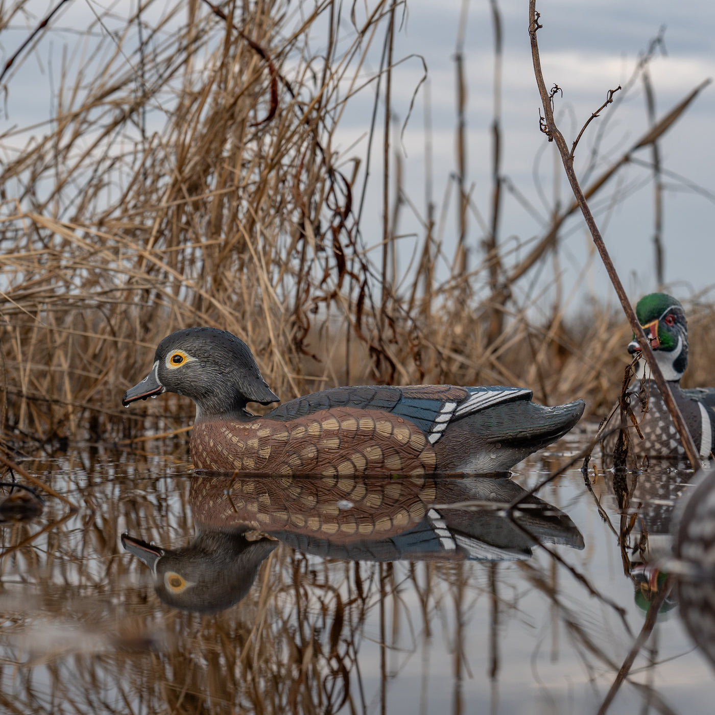 F1 Wood Duck Floaters