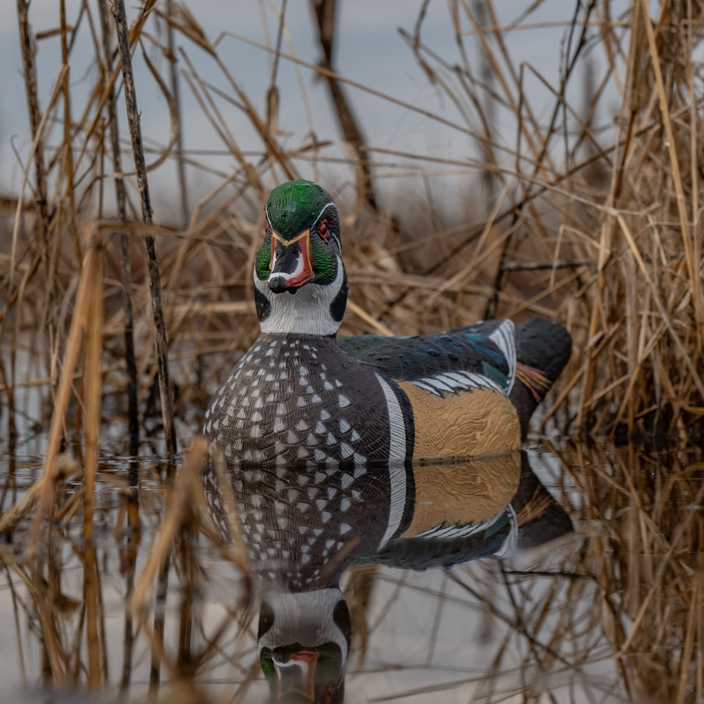 F1 Wood Duck Floaters