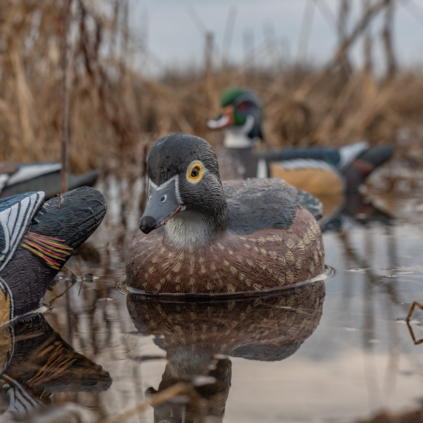 F1 Wood Duck Floaters