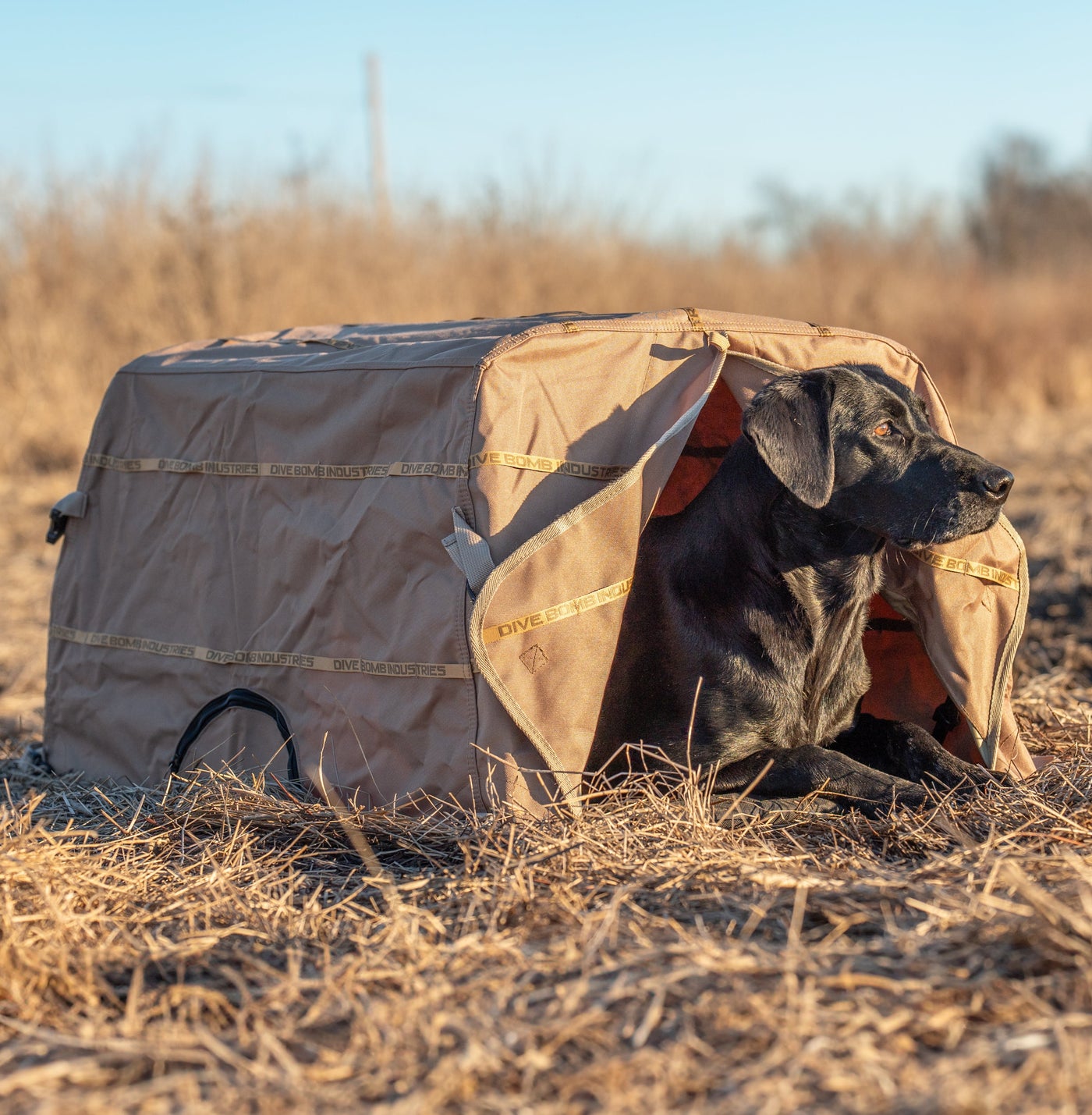 Field Dog Blind