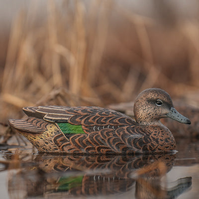 F1 Green-winged Teal Floaters