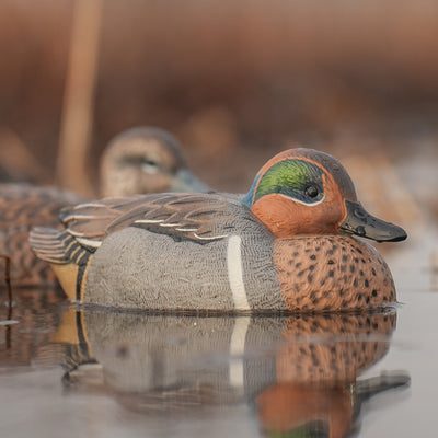 F1 Green-winged Teal Floaters