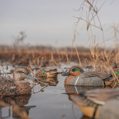 F1 Green-winged Teal Floaters