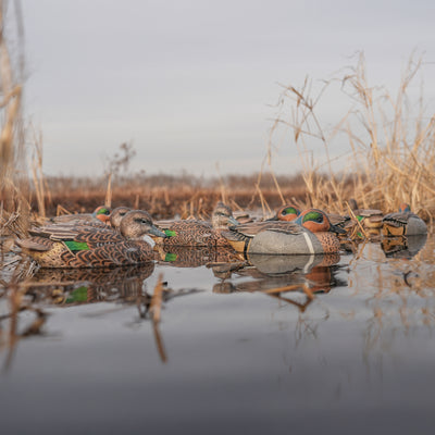 F1 Green-winged Teal Floaters