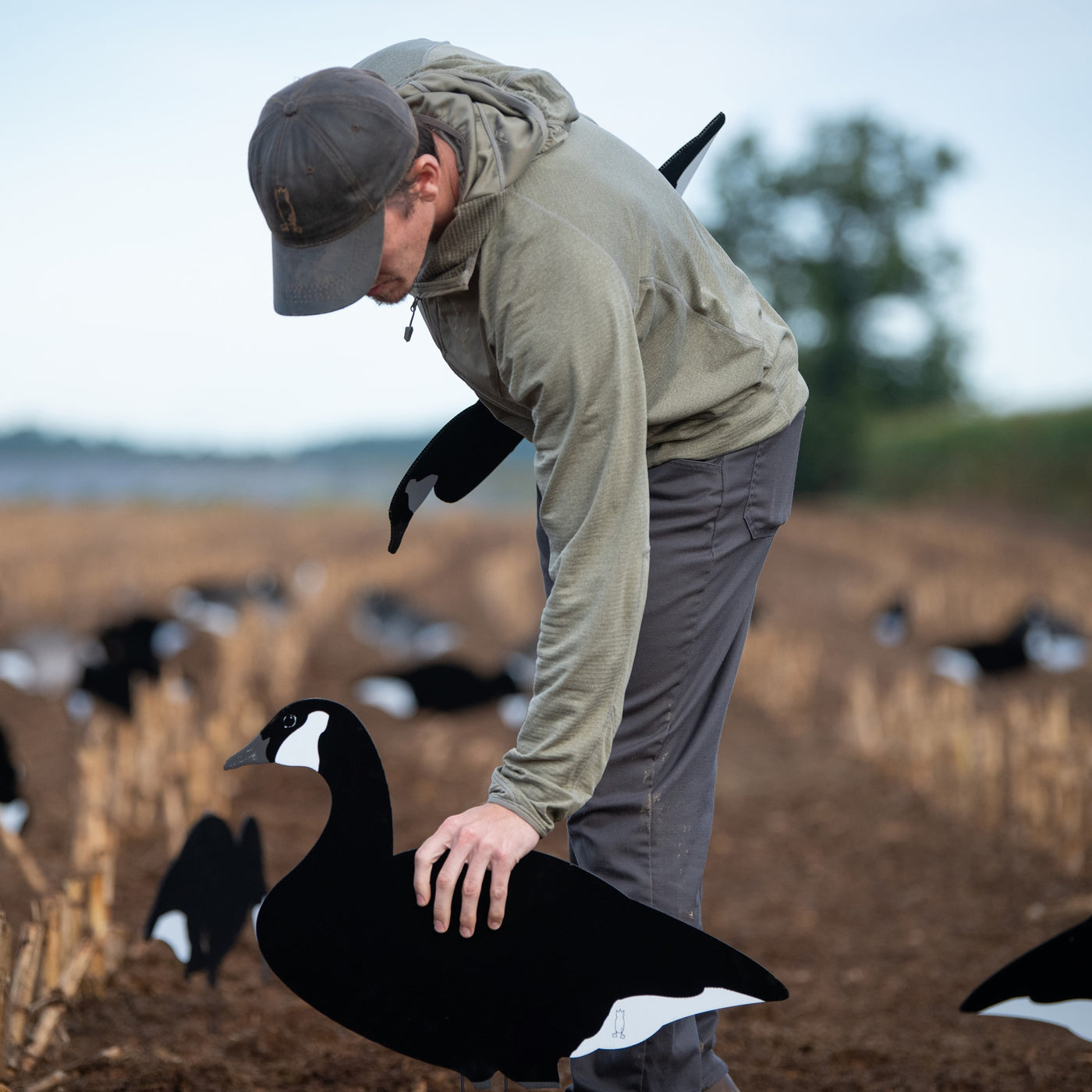 V2BW Flocked Black & White Silhouettes