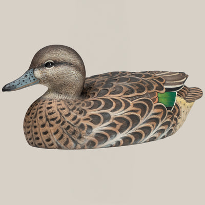 F1 Green-winged Teal Floaters