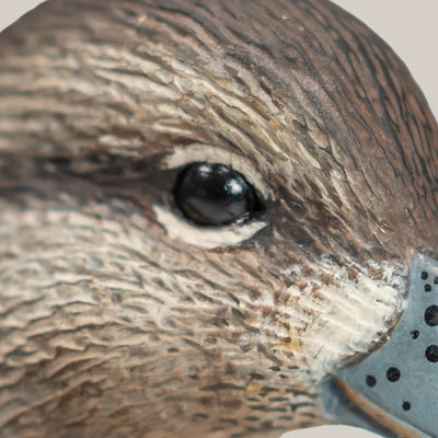 F1 Green-winged Teal Floaters