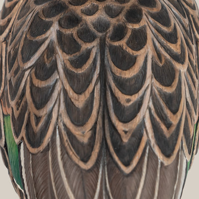 F1 Green-winged Teal Floaters