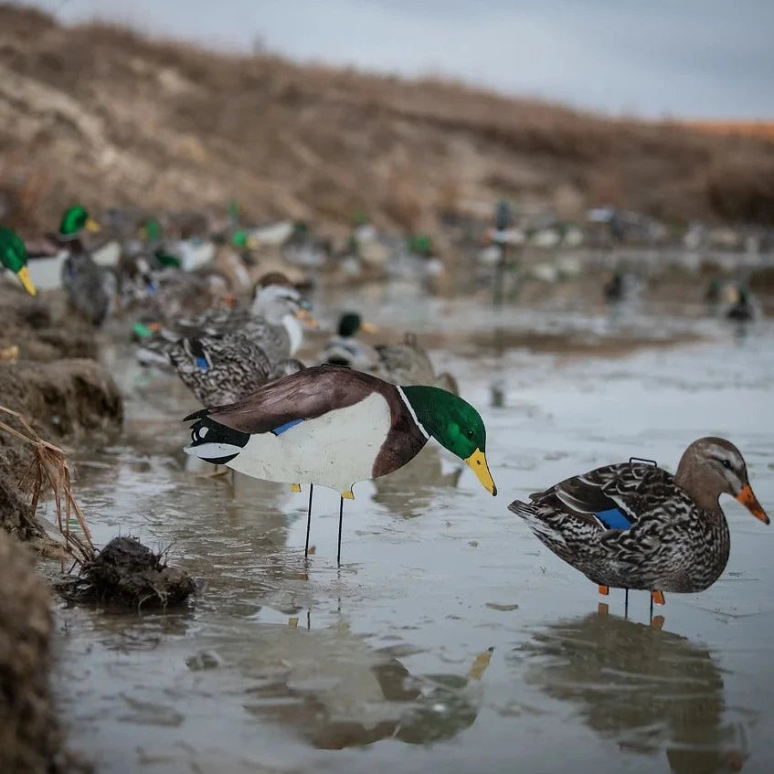 M1 Mallard Silhouettes Decoys